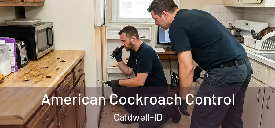  American Cockroach Control Caldwell-ID