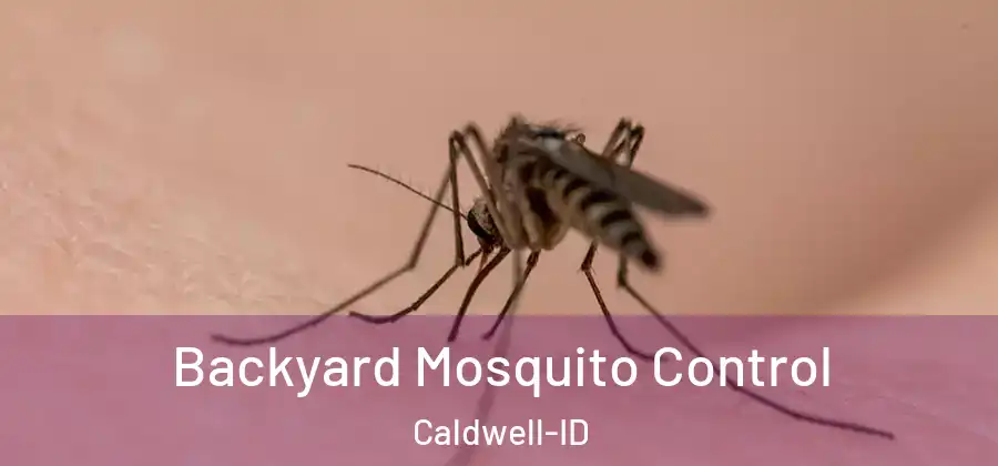  Backyard Mosquito Control Caldwell-ID