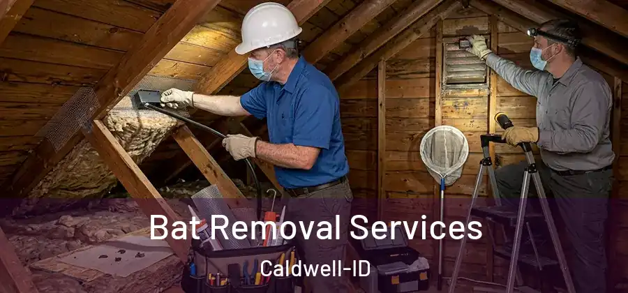  Bat Removal Services Caldwell-ID