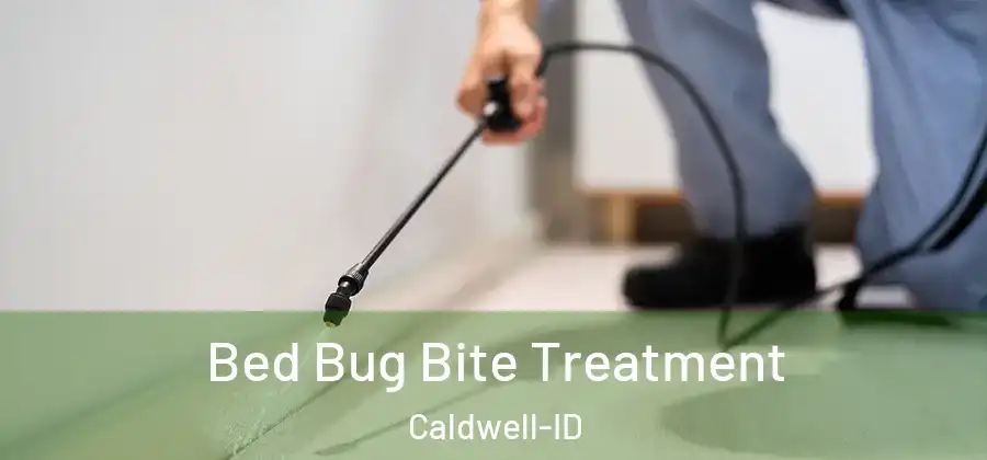  Bed Bug Bite Treatment Caldwell-ID