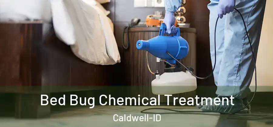 Bed Bug Chemical Treatment Caldwell-ID
