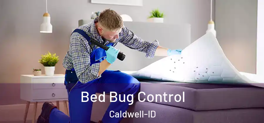 Bed Bug Control Caldwell-ID