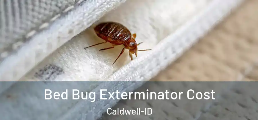  Bed Bug Exterminator Cost Caldwell-ID