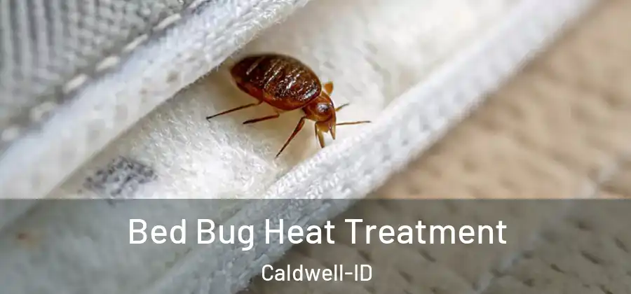  Bed Bug Heat Treatment Caldwell-ID
