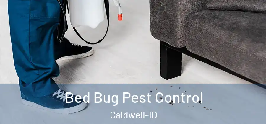  Bed Bug Pest Control Caldwell-ID