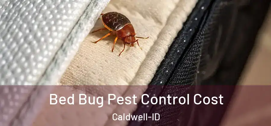  Bed Bug Pest Control Cost Caldwell-ID