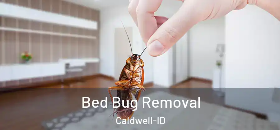  Bed Bug Removal Caldwell-ID