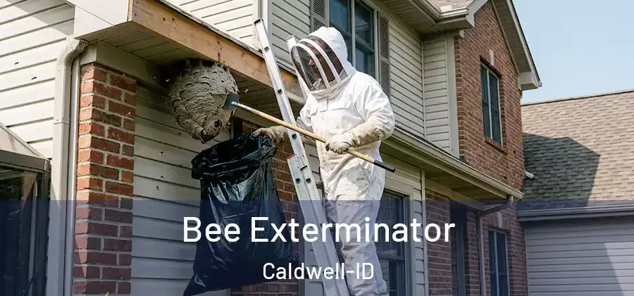  Bee Exterminator Caldwell-ID