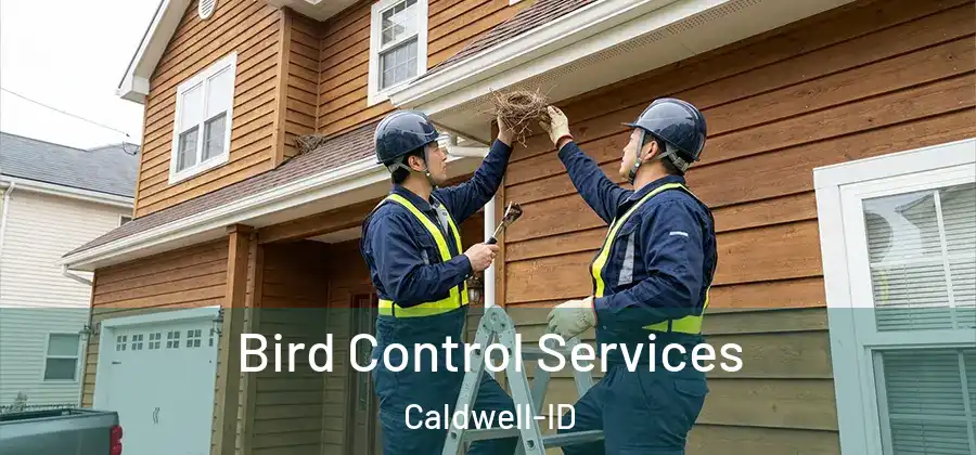  Bird Control Services Caldwell-ID