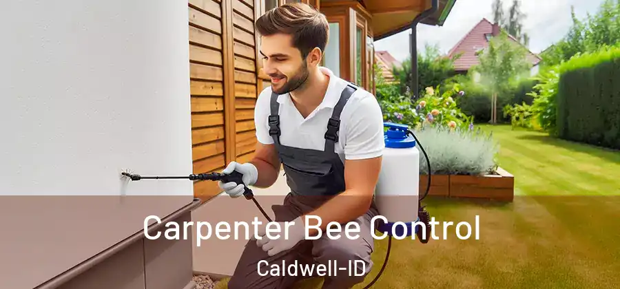  Carpenter Bee Control Caldwell-ID