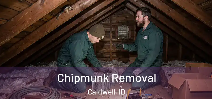  Chipmunk Removal Caldwell-ID