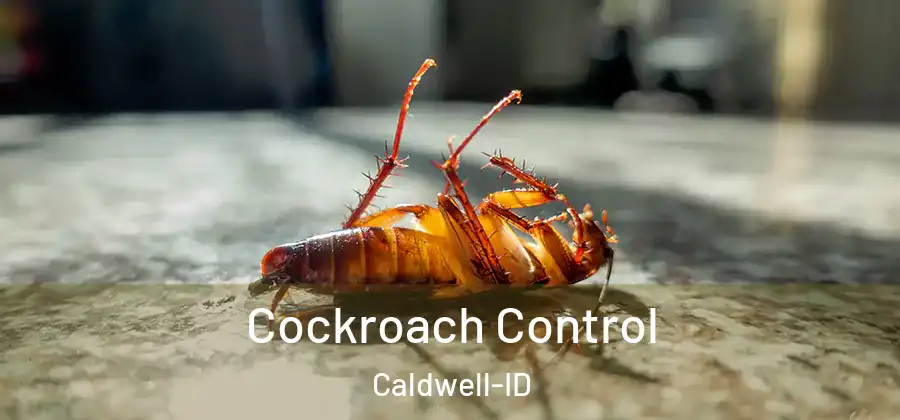  Cockroach Control Caldwell-ID