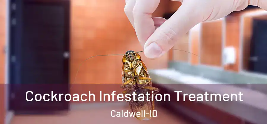  Cockroach Infestation Treatment Caldwell-ID