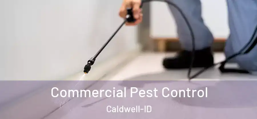  Commercial Pest Control Caldwell-ID