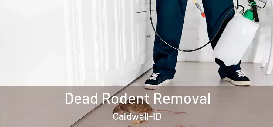  Dead Rodent Removal Caldwell-ID