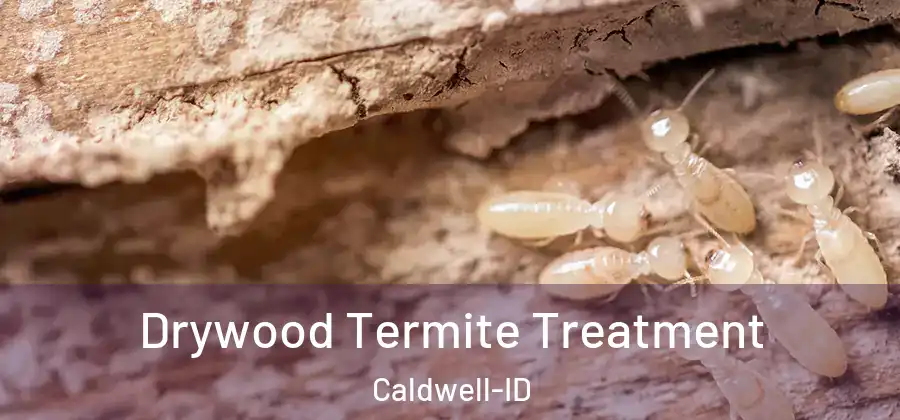  Drywood Termite Treatment Caldwell-ID