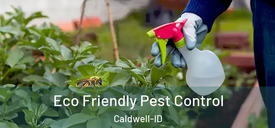 Eco Friendly Pest Control Caldwell-ID