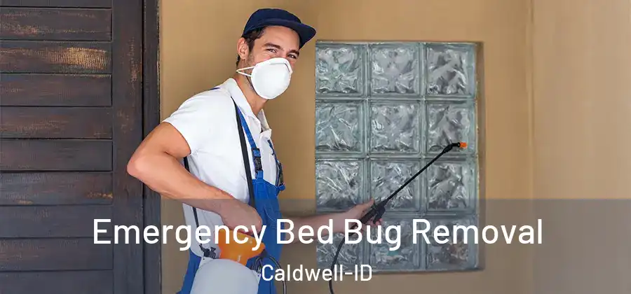  Emergency Bed Bug Removal Caldwell-ID
