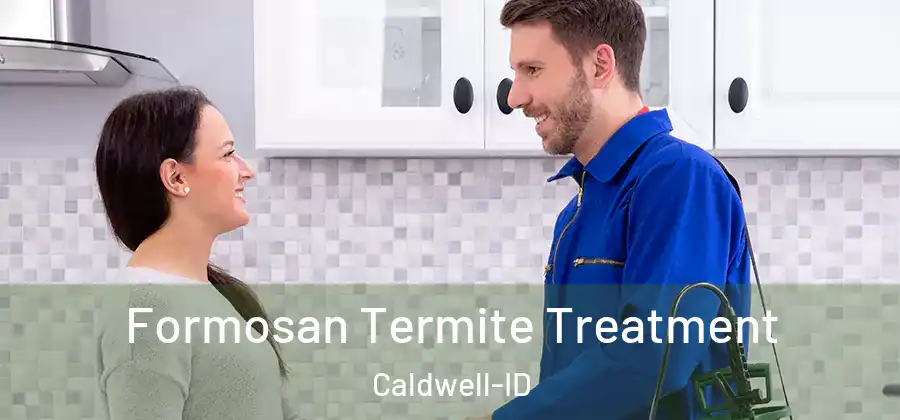  Formosan Termite Treatment Caldwell-ID
