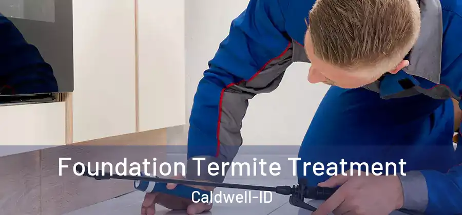  Foundation Termite Treatment Caldwell-ID