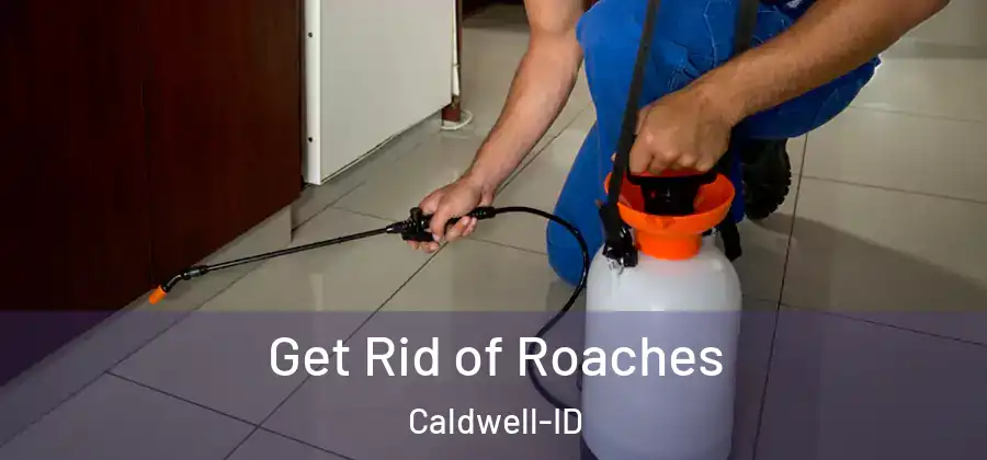  Get Rid of Roaches Caldwell-ID