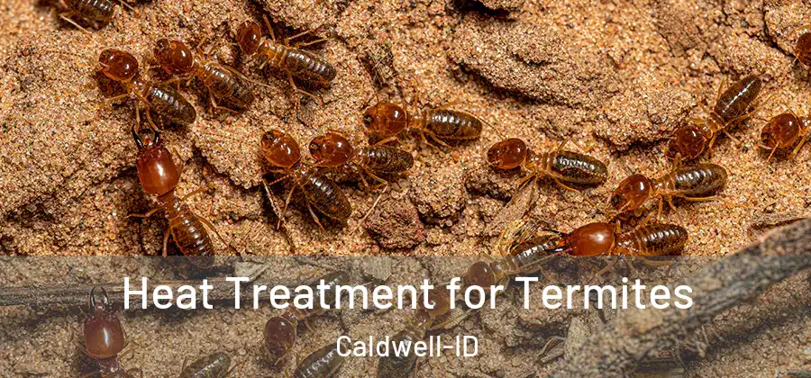  Heat Treatment for Termites Caldwell-ID