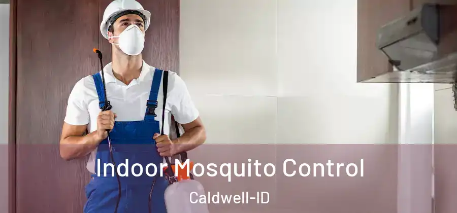  Indoor Mosquito Control Caldwell-ID