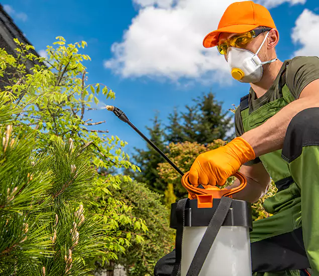 Your Best Bug Spray for Home Team in Caldwell, ID