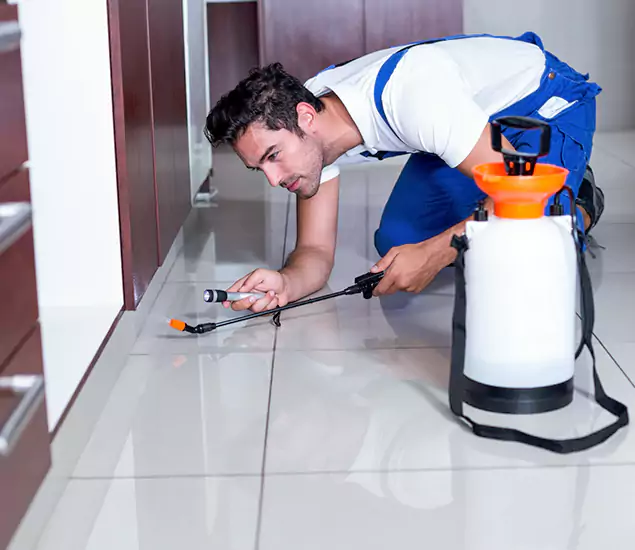 Reliable Professional Mouse Removal: Your Best Mouse Control Company in Caldwell, ID