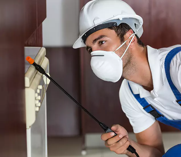 Expert Cockroach Exterminator: Your Roach Control Services in Caldwell, ID