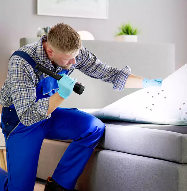 Why Choose Caldwell Pest Control Pro for Bed Bug Exterminator Cost in Caldwell, ID?