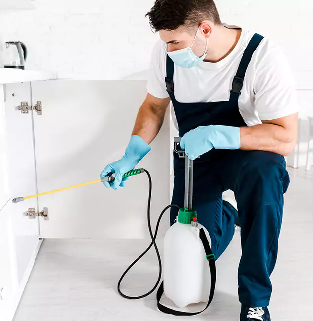Why Caldwell, ID Homeowners Trust Us for German Roach Control?