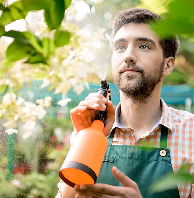 Why Caldwell Homeowners Call Caldwell Pest Control Pro for Mosquitoes in House?