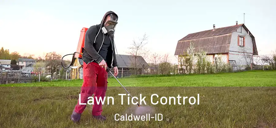 Lawn Tick Control Caldwell-ID