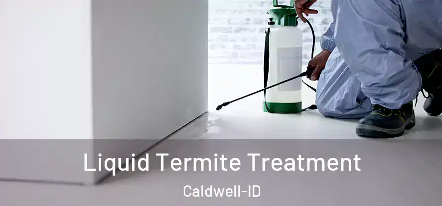  Liquid Termite Treatment Caldwell-ID