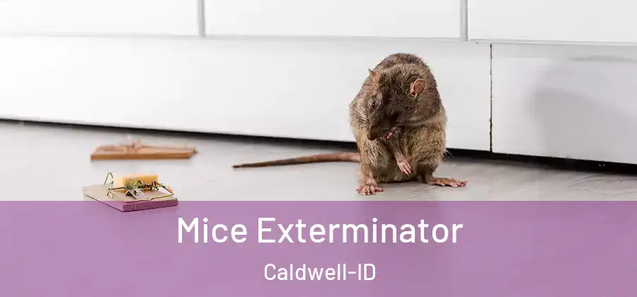  Mice Exterminator Caldwell-ID