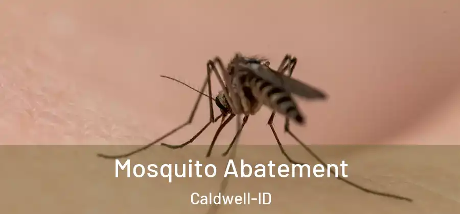  Mosquito Abatement Caldwell-ID