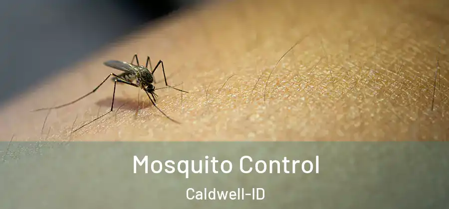  Mosquito Control Caldwell-ID