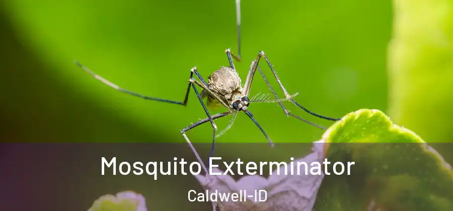  Mosquito Exterminator Caldwell-ID