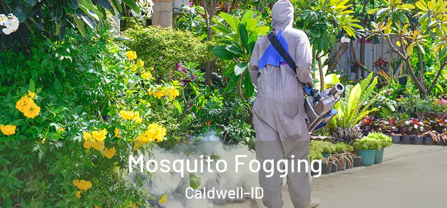  Mosquito Fogging Caldwell-ID