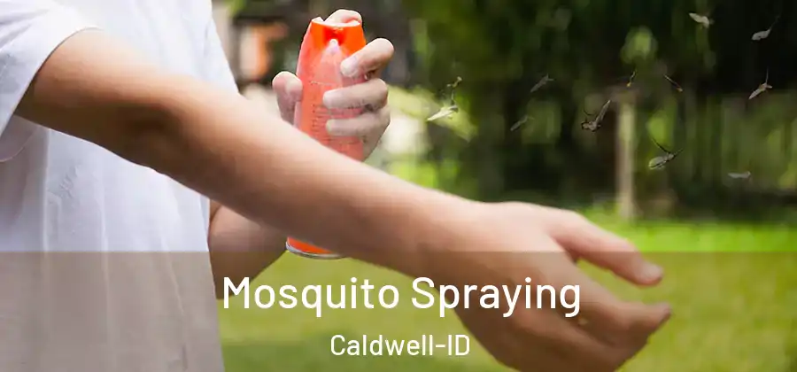 Mosquito Spraying Caldwell-ID