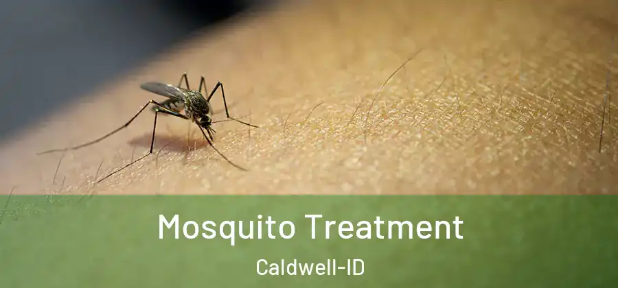  Mosquito Treatment Caldwell-ID