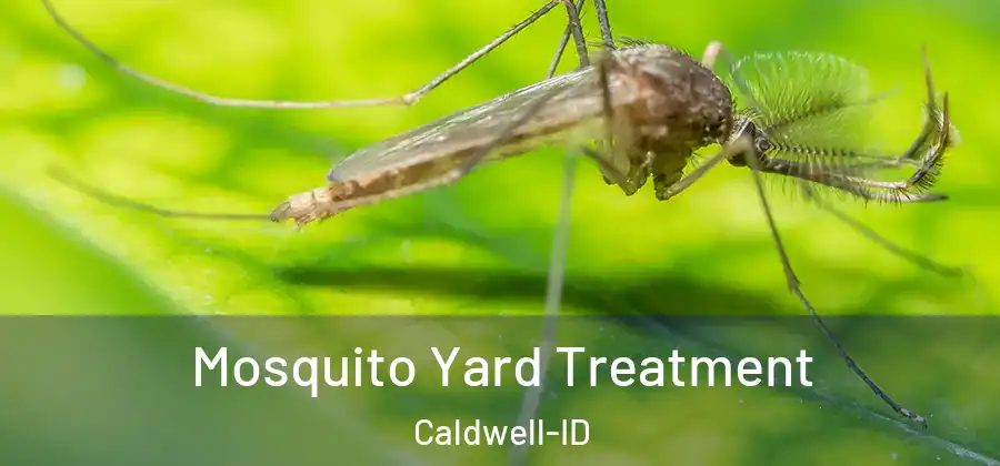  Mosquito Yard Treatment Caldwell-ID