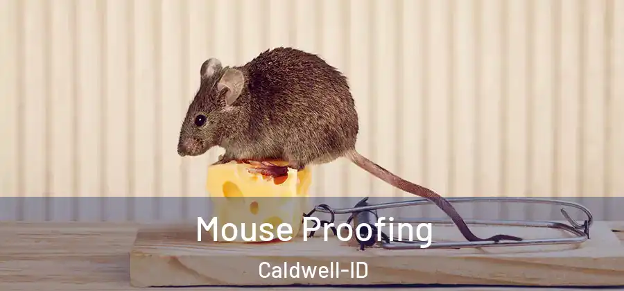  Mouse Proofing Caldwell-ID