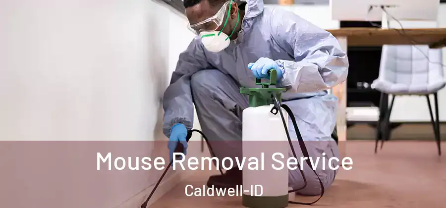  Mouse Removal Service Caldwell-ID
