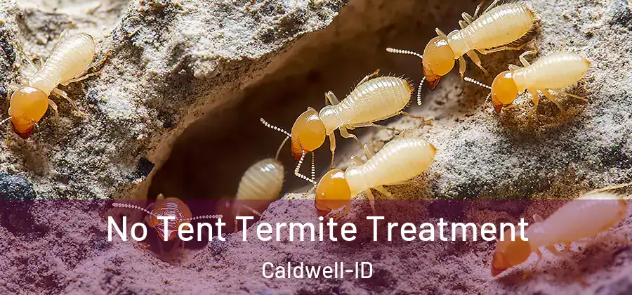  No Tent Termite Treatment Caldwell-ID