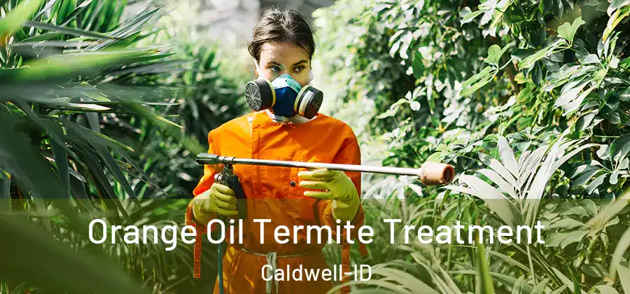  Orange Oil Termite Treatment Caldwell-ID