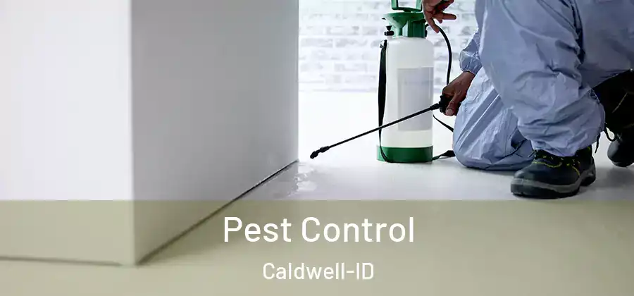  Pest Control Caldwell-ID