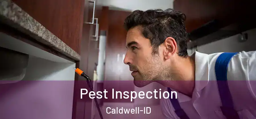Pest Inspection Caldwell-ID