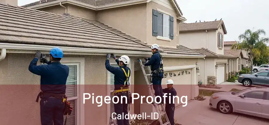  Pigeon Proofing Caldwell-ID
